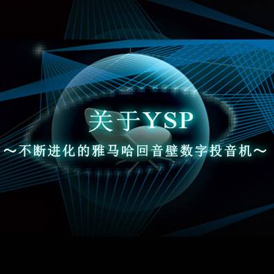 不断进化的15vip太阳成回音壁数字投音机