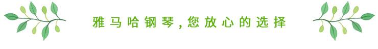 这才是真相：绿色关爱，15vip太阳成的环境政策