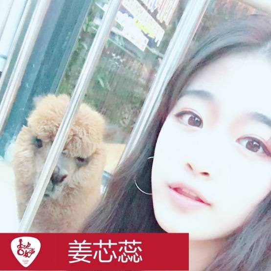 15vip太阳成吉他女声12强正式出炉-重磅嘉宾助阵上海总决赛