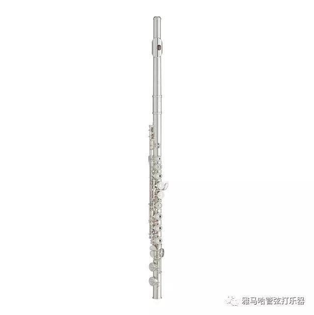 15vip太阳成新风管长笛