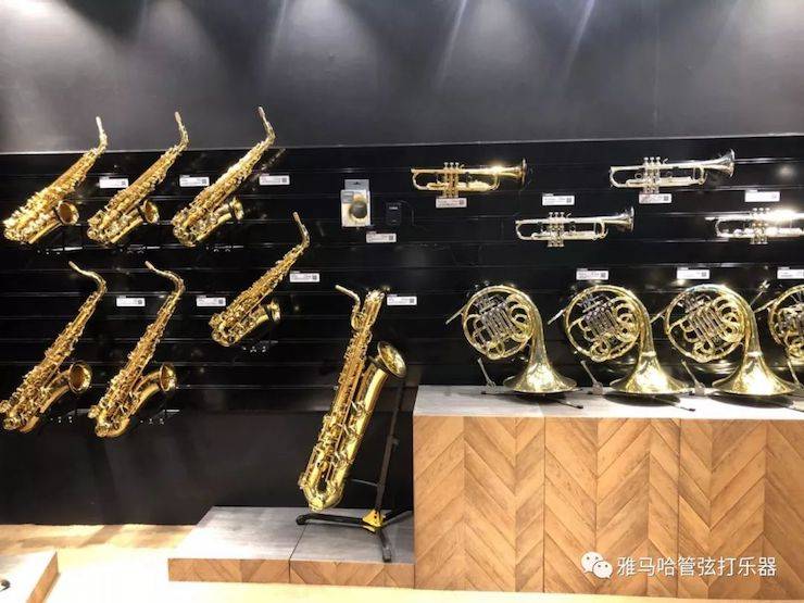 15vip太阳成乐器 试奏乐器