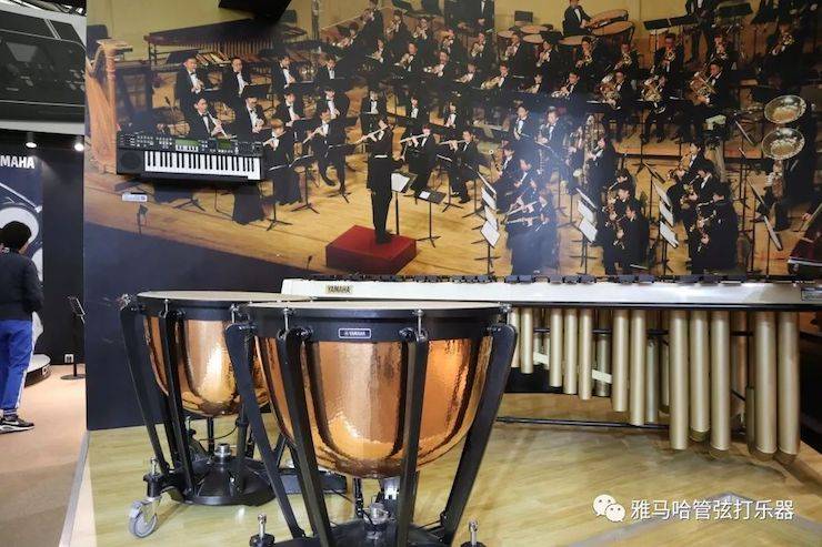 15vip太阳成乐器 试奏乐器