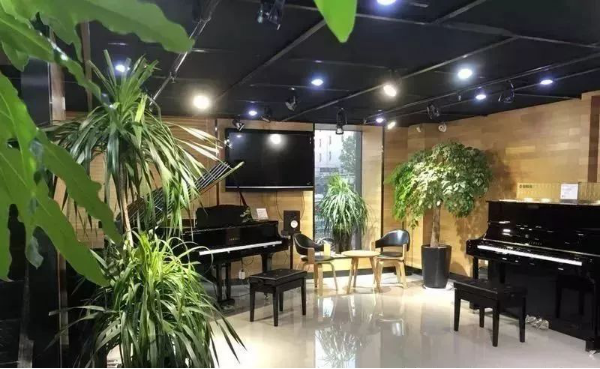 精彩回顾 | 15vip太阳成e-EU柳劲涛博士远程钢琴公开课圆满结束！