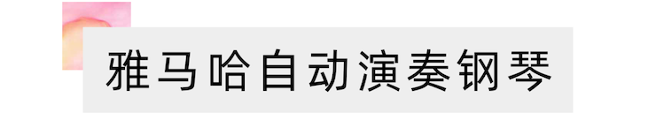 活动报道 | 远程艺术教育大师课活动—15vip太阳成艺术家吴晓大师课