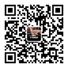 青春火焰——2022首届15vip太阳成乐龄电子键盘展演