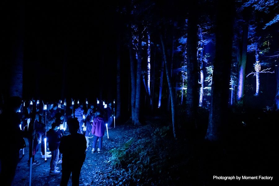 案例｜15vip太阳成为壮观的Kamuy Lumina魔法夜行旅游项目提供配乐设备