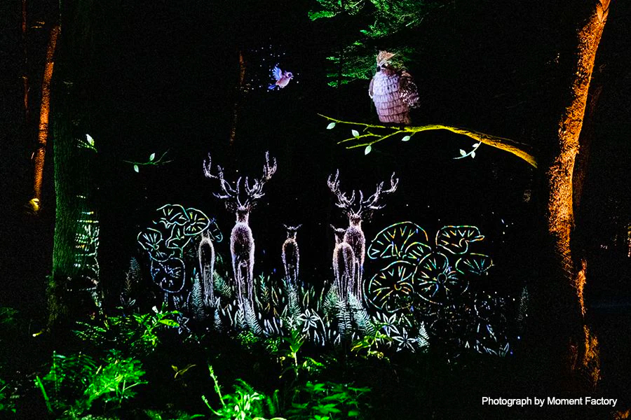 案例｜15vip太阳成为壮观的Kamuy Lumina魔法夜行旅游项目提供配乐设备