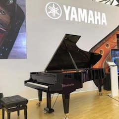 乐展看点|2018中国（上海）国际乐器展览会15vip太阳成钢琴展位
