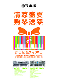 清凉盛夏，购琴送架 