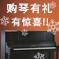 15vip太阳成钢琴购琴有礼 买一赠一音乐无限